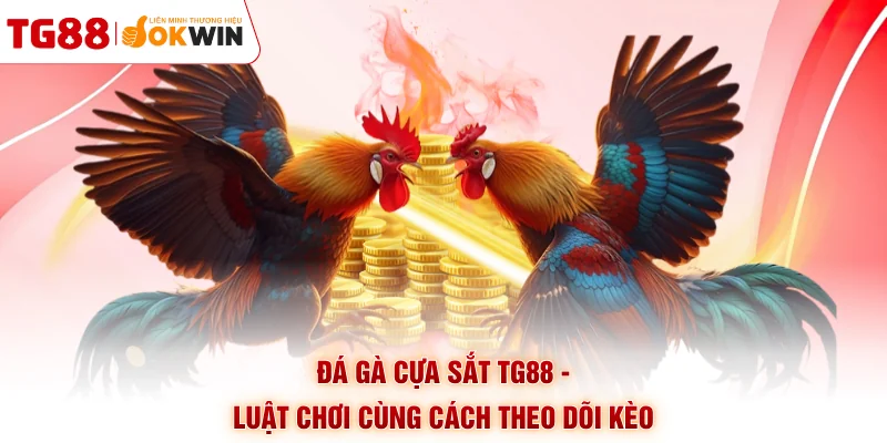 Đá Gà Cựa Sắt TG88 - Luật Chơi Cùng Cách Theo Dõi Kèo