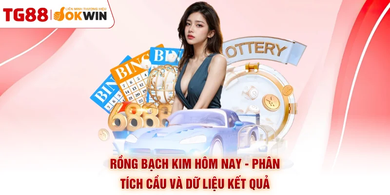 Rồng Bạch Kim Hôm Nay - Phân Tích Cầu Và Dữ Liệu Kết Quả
